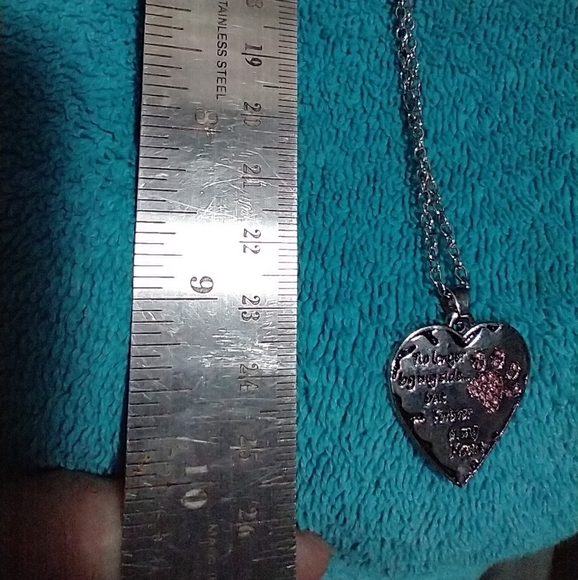 Heart Pendant Pink Crystal Paw Print and Inscription memorial rainbow bridge - Picture 2 of 4
